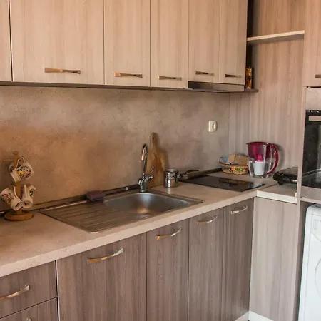 Apartment Petya